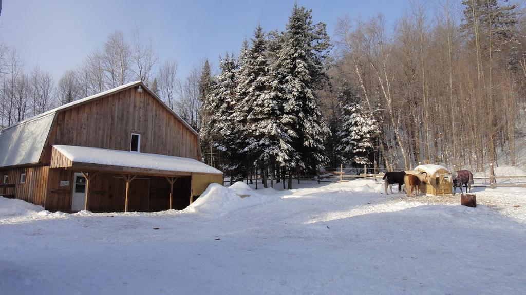 Auberge Le Cheval Bleu Saint-Alphonse-Rodriguez Екстер'єр фото
